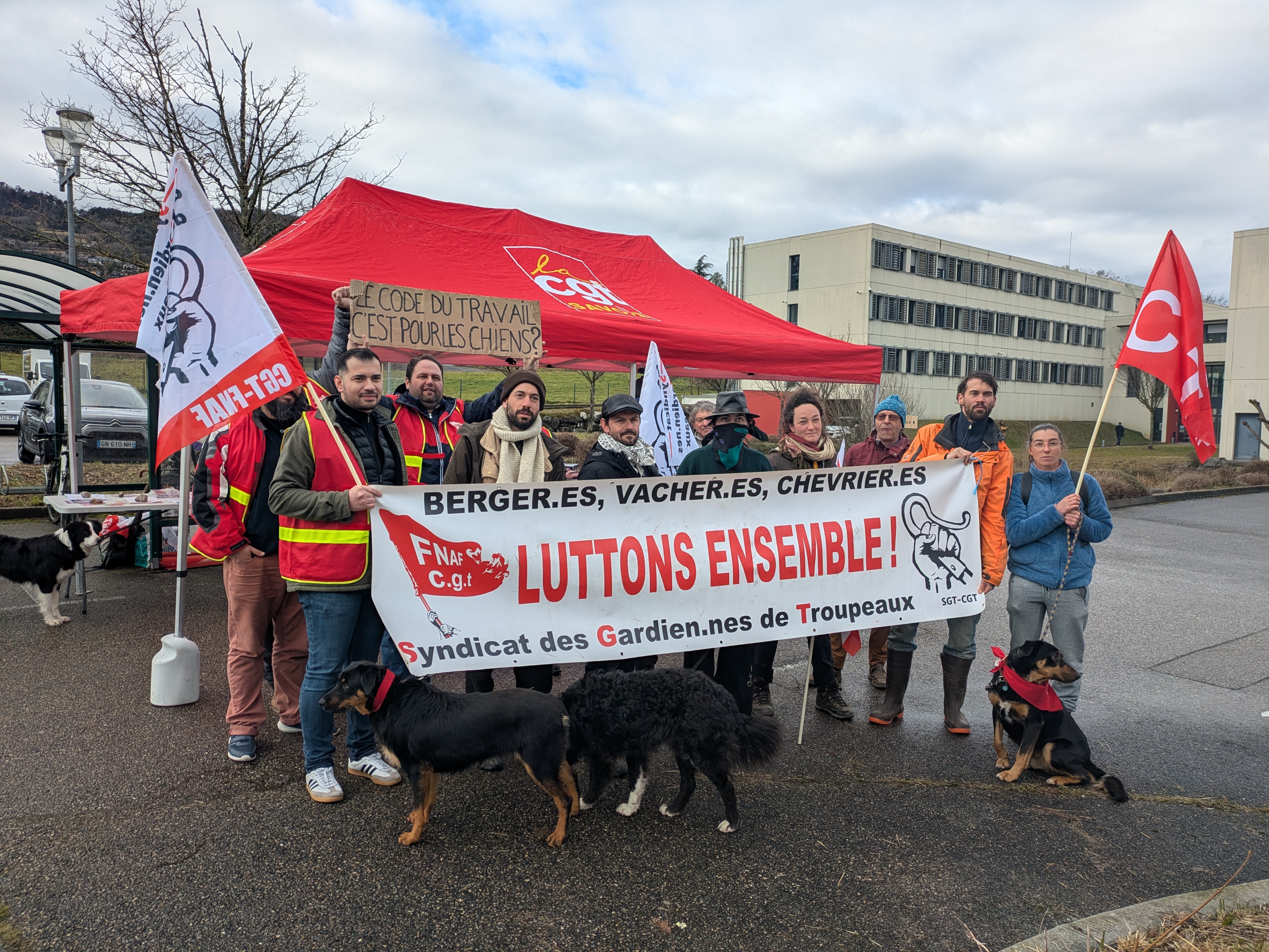 Bergers et bergères confrontés à des conditions de travail d’un autre temps