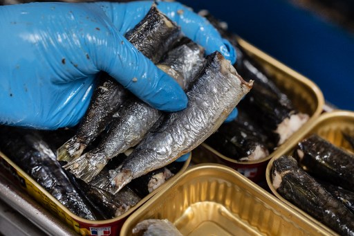 Comment la CGT tente de faire taire les sirènes de l’extrême droite en Bretagne