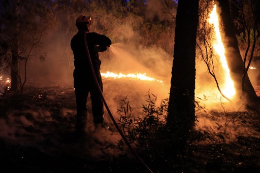 feu forêt Var