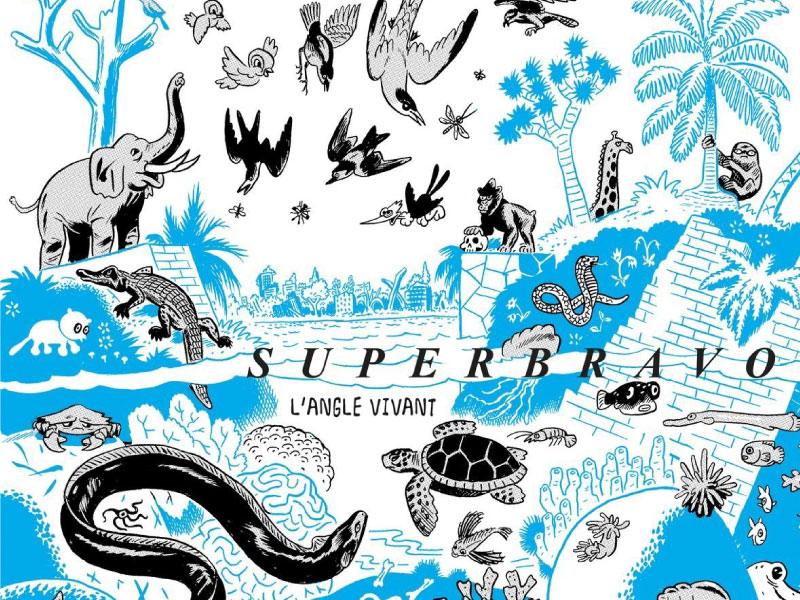 superbrao-une
