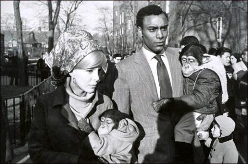 winogrand