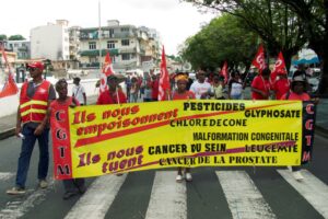 « La justice n'a pas cherché la vérité » : après le non-lieu sur le chlordécone, les Antillais déterminés à continuer la lutte