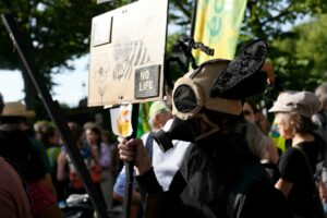 Court-termisme, pesticides... Les quatre aberrations anti-écolos de la loi d'urgence agricole