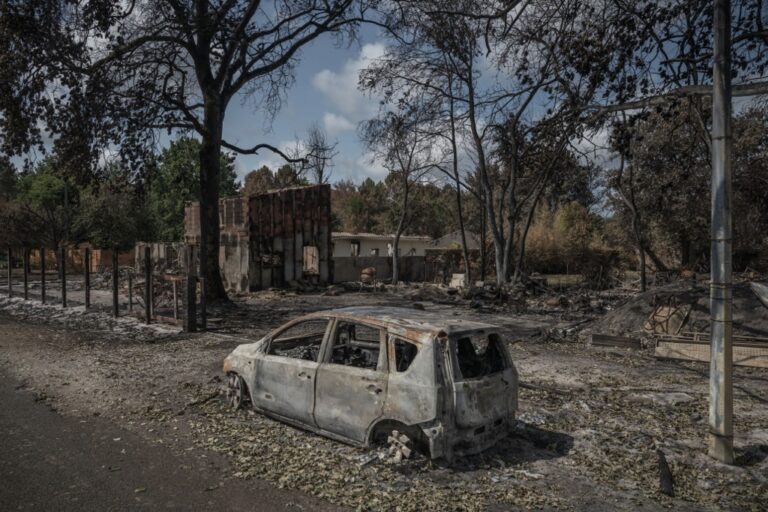 Attaques anti-écolos, haine anti-féministes, racisme : face aux incendies, les délires de l'extrême droite