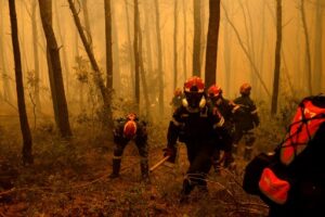 En Grèce, la casse des services publics, facteur accélérateur des incendies